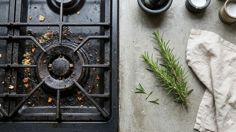 Natural Soap Plants - Rosemary for kitchen degreasing